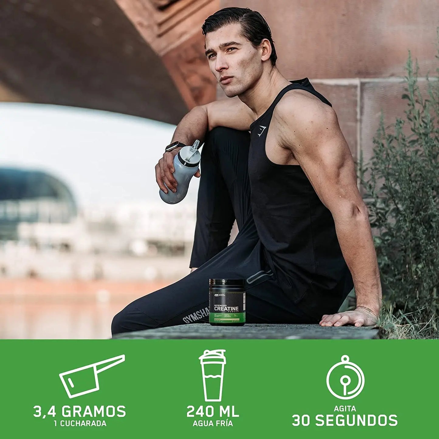 Creatina en polvo 317gr Optimum Nutrition creatina monohidrato